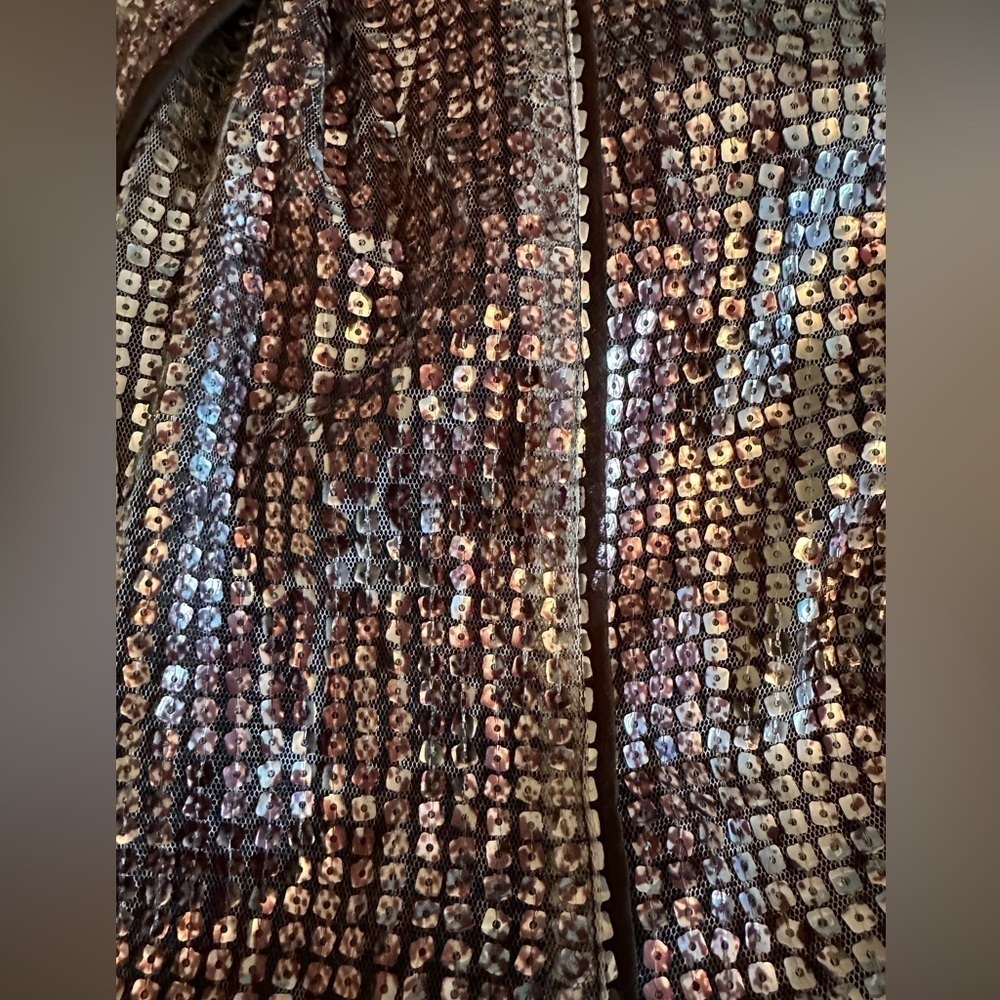 Chico's Ravishing sequence snake jacket - Picture 10 of 10